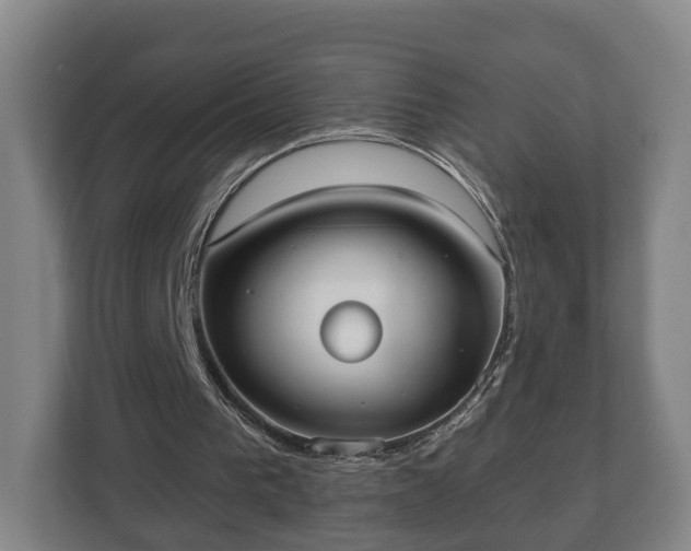 X0000113080193200909041136