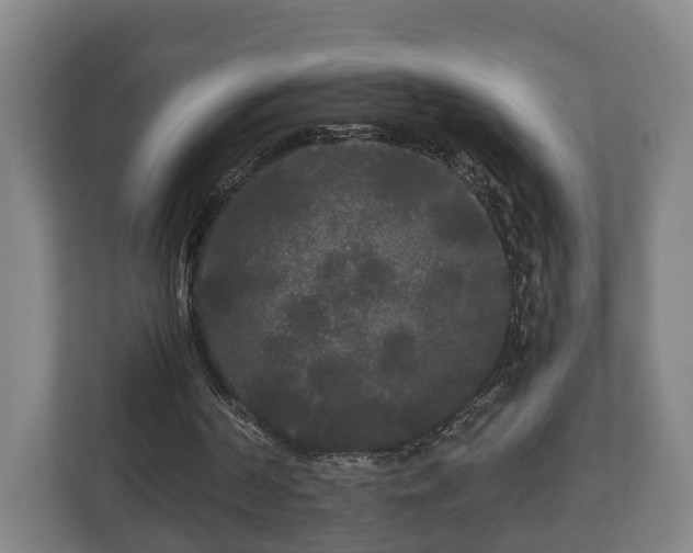 X0000113080194200909041136