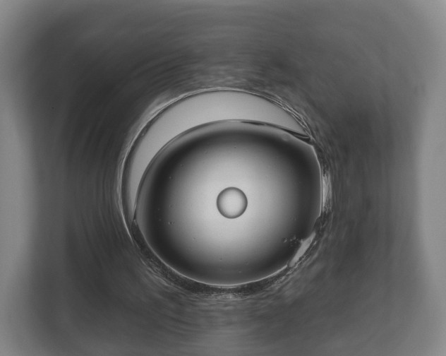 X0000113080195200909041135