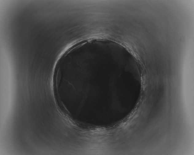 X0000113080196200909041135