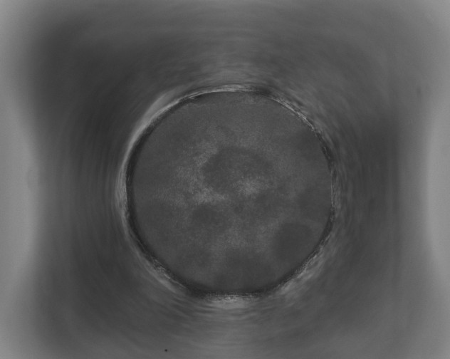 X0000113080198200909041135