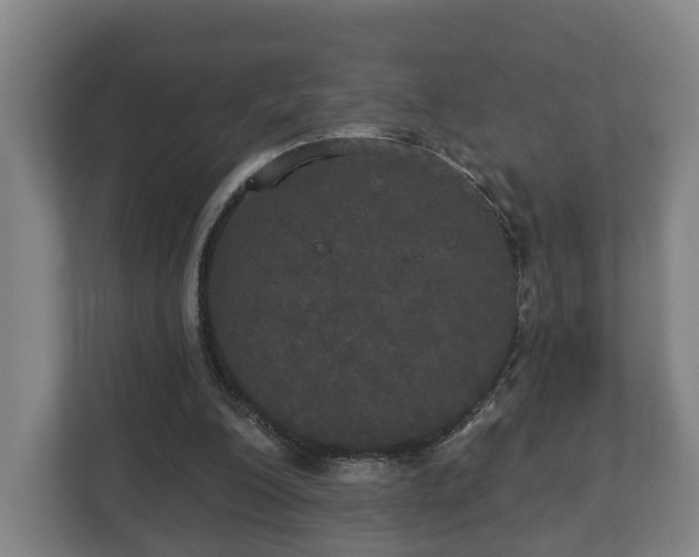 X0000113080200200909041135