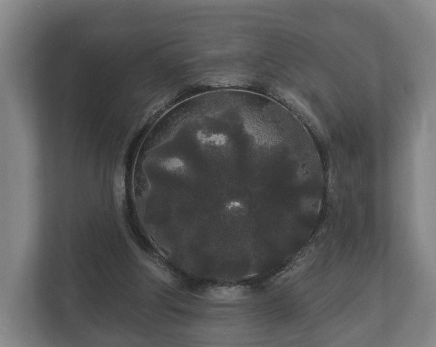 X0000113080202200909041135