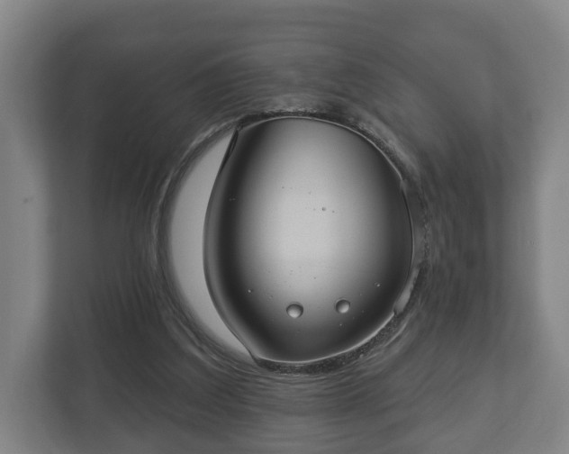 X0000113080203200909041135