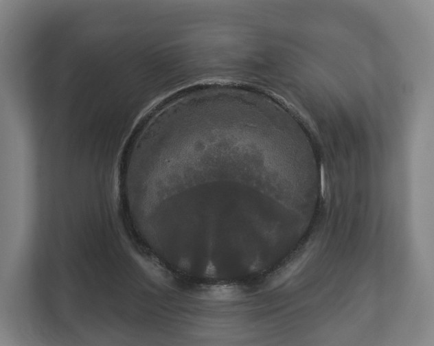 X0000113080204200909041135