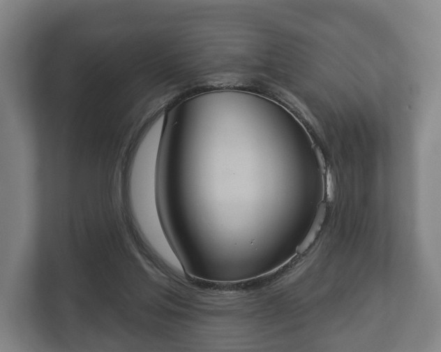 X0000113080205200909041135