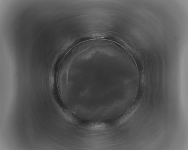 X0000113080206200909041135