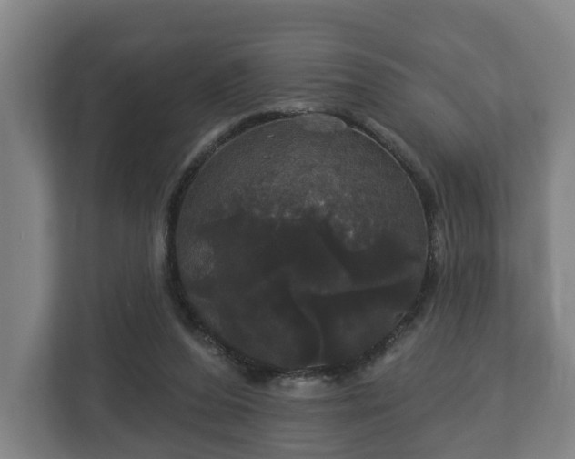 X0000113080208200909041135