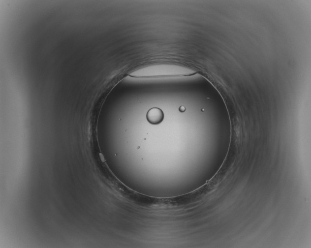 X0000113080211200909041135