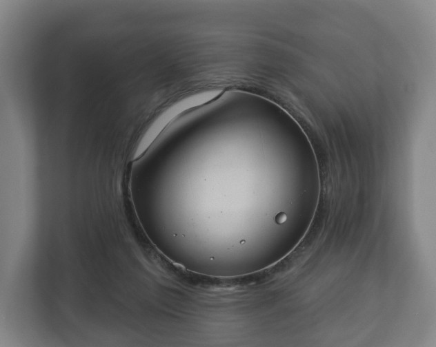 X0000113080213200909041135