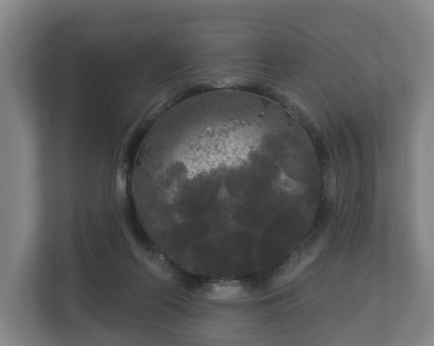 X0000113080214200909041135