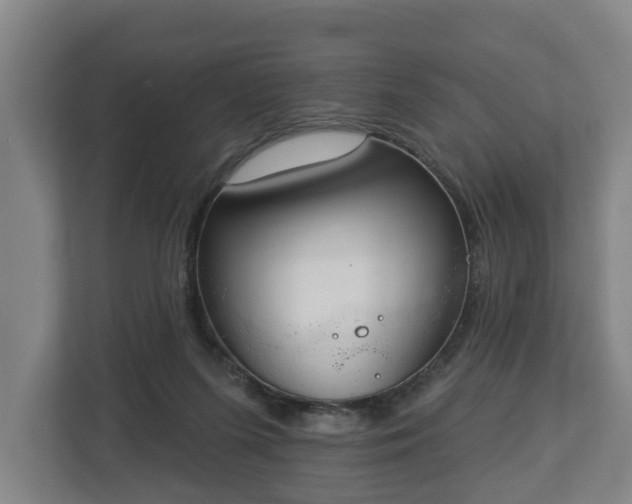 X0000113080215200909041135