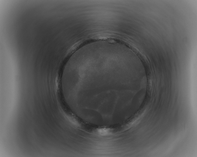 X0000113080216200909041135