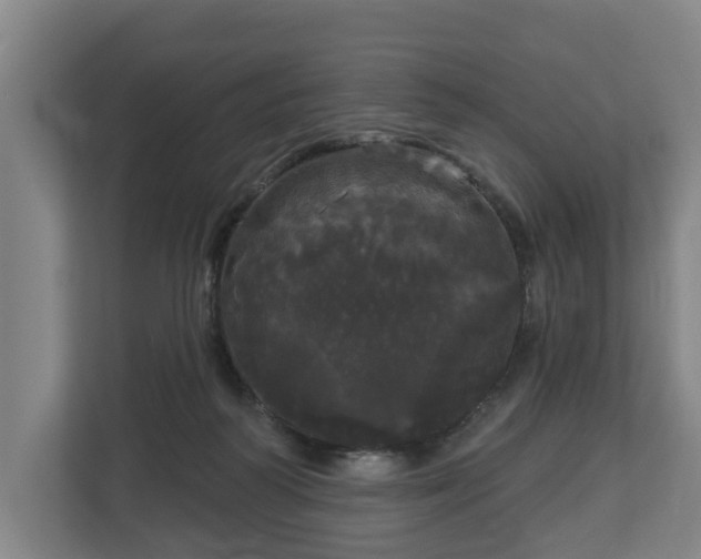 X0000113080218200909041135