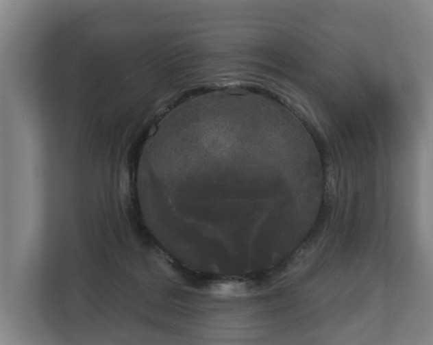 X0000113080220200909041135