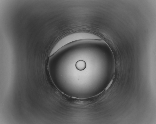 X0000113080221200909041135