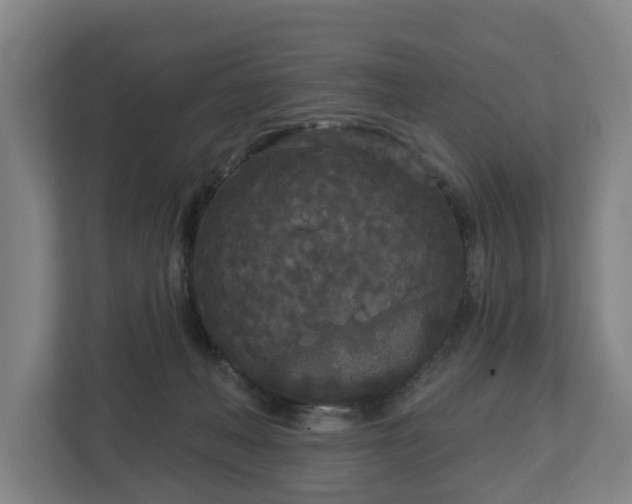 X0000113080222200909041135