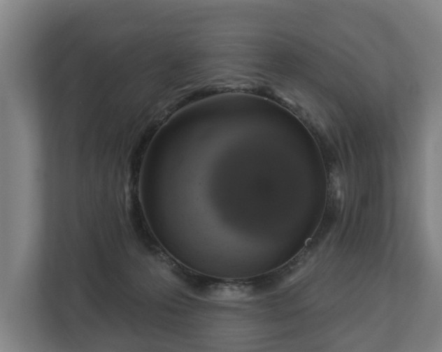 X0000113080223200909041135