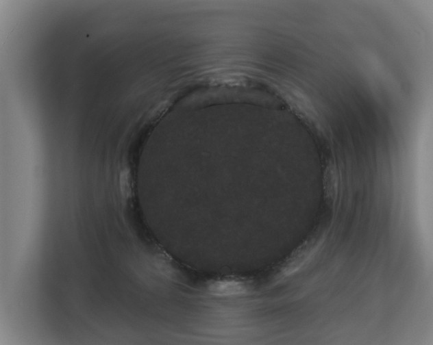 X0000113080224200909041135