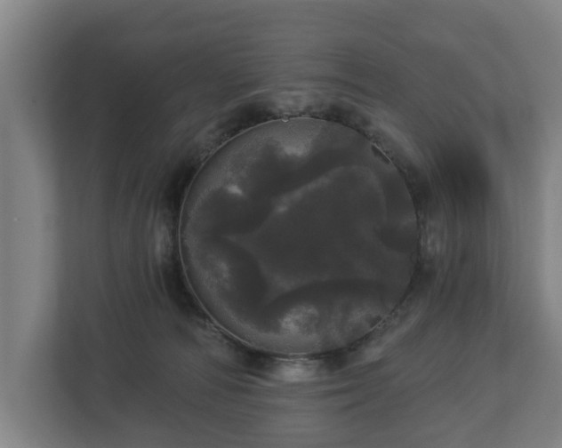 X0000113080226200909041135