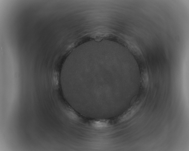 X0000113080232200909041135