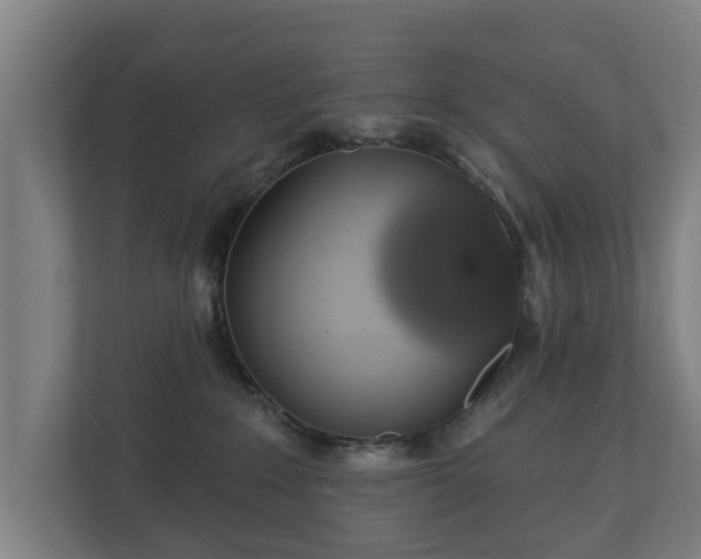 X0000113080235200909041135