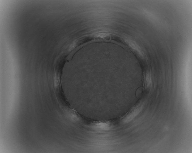 X0000113080236200909041135