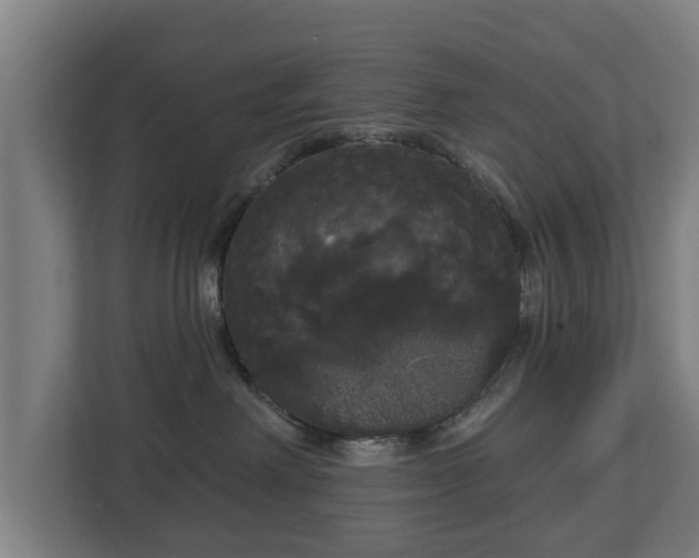 X0000113080238200909041135