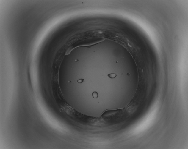 X0000113080239200909041135