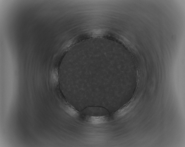 X0000113080240200909041135