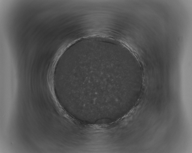 X0000113080241200909041134