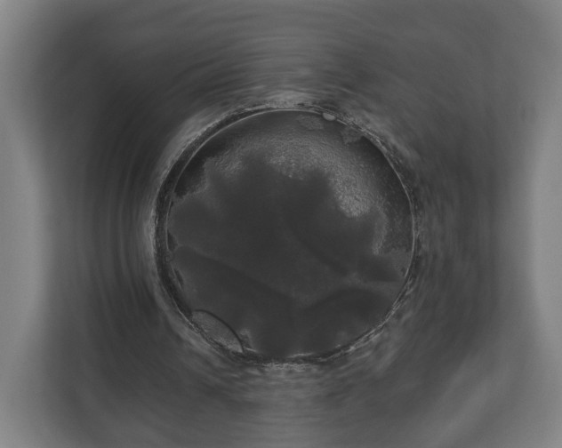 X0000113080242200909041134