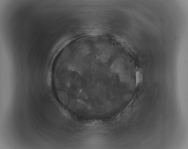 X0000113080243200909041134