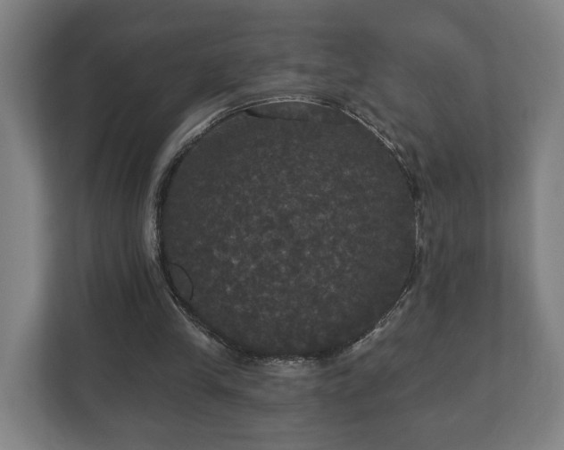 X0000113080245200909041134