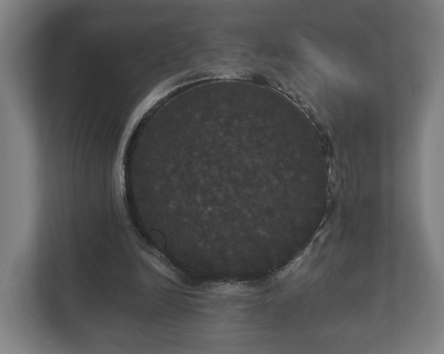 X0000113080246200909041134