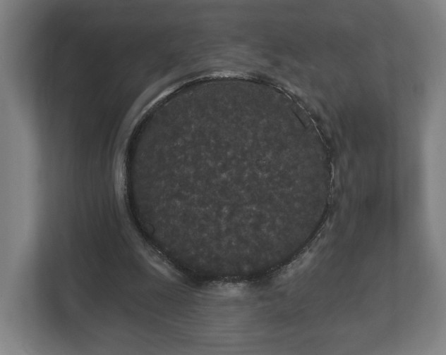 X0000113080247200909041134