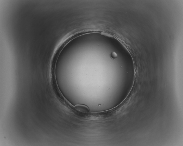 X0000113080248200909041134