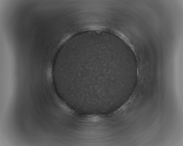 X0000113080249200909041134