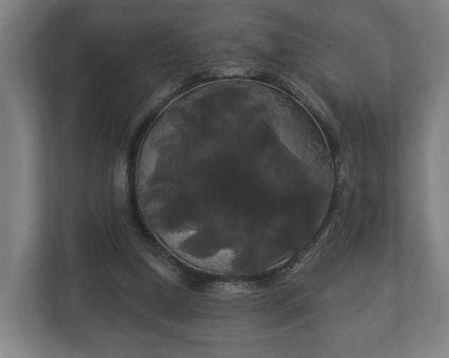 X0000113080250200909041134