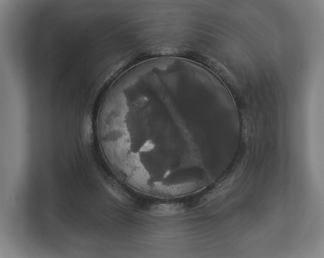 X0000113080251200909041134