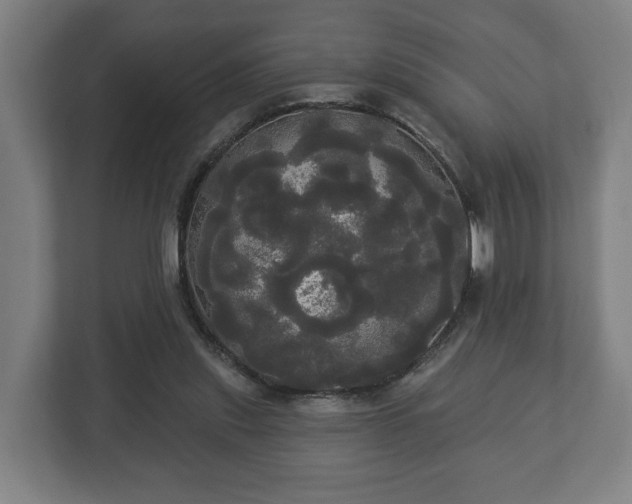 X0000113080253200909041134