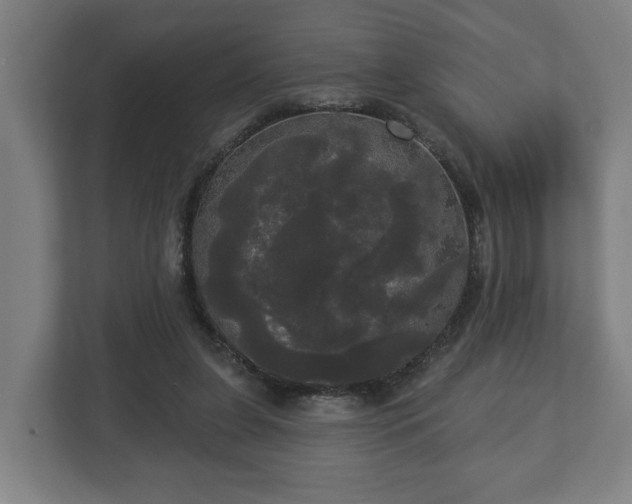 X0000113080255200909041134