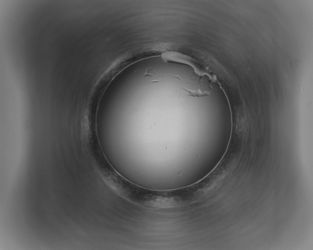 X0000113080256200909041134