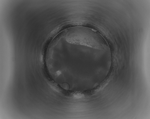 X0000113080258200909041135