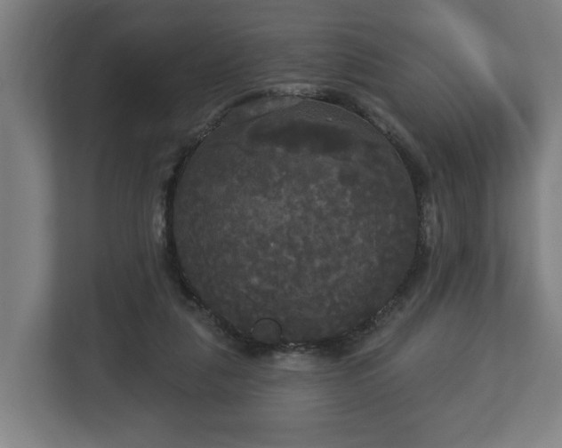 X0000113080259200909041135