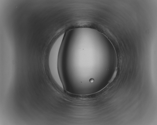 X0000113080260200909041135