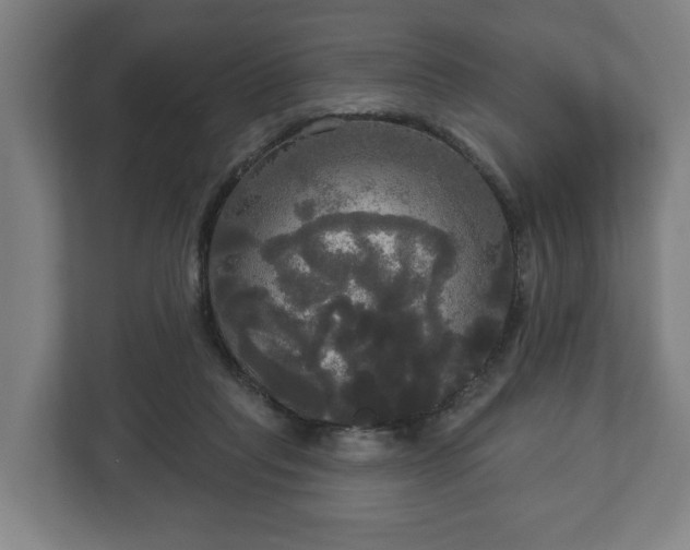 X0000113080261200909041135