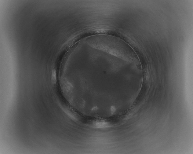 X0000113080262200909041135