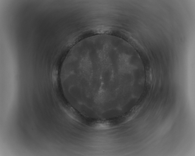 X0000113080263200909041135