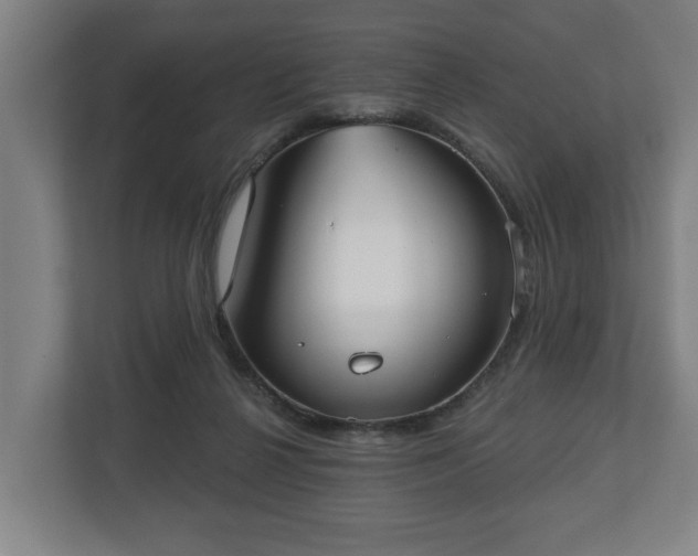 X0000113080264200909041135